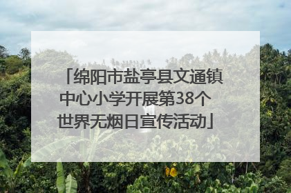 绵阳市盐亭县文通镇中心小学开展第38个世界无烟日宣传活动
