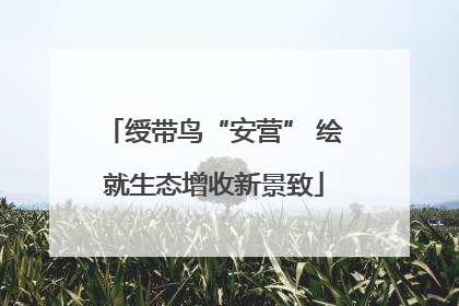绶带鸟“安营” 绘就生态增收新景致