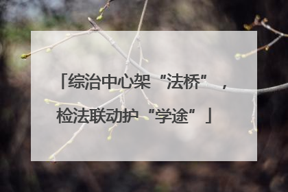 综治中心架“法桥”，检法联动护“学途”