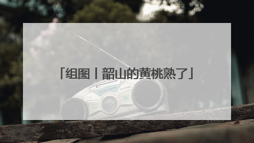 组图丨韶山的黄桃熟了