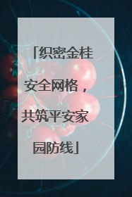 织密金桂安全网格，共筑平安家园防线