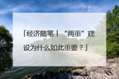 经济随笔丨“两重”建设为什么如此重要？