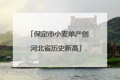 保定市小麦单产创河北省历史新高