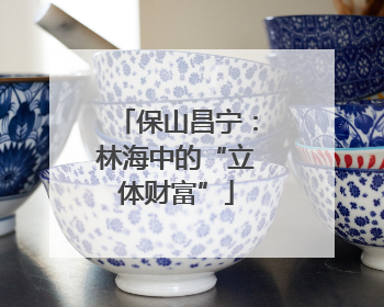 保山昌宁：林海中的“立体财富”