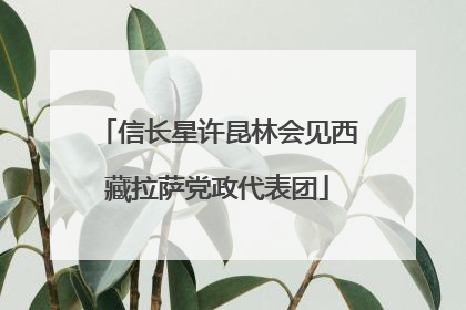 信长星许昆林会见西藏拉萨党政代表团