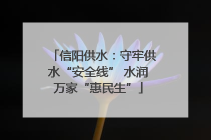 信阳供水：守牢供水“安全线” 水润万家“惠民生”