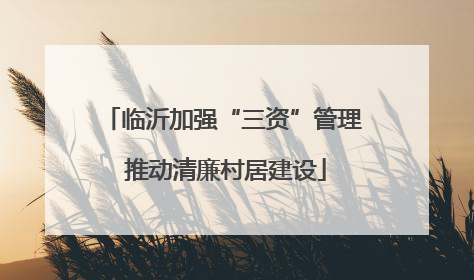 临沂加强“三资”管理 推动清廉村居建设