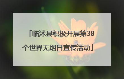 临沭县积极开展第38个世界无烟日宣传活动