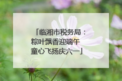临湘市税务局：粽叶飘香迎端午 童心飞扬庆六一
