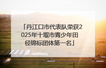 丹江口市代表队荣获2025年十堰市青少年田径锦标团体第一名