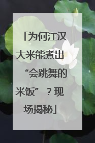 为何江汉大米能煮出“会跳舞的米饭”？现场揭秘