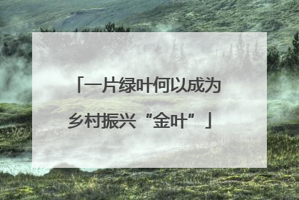 一片绿叶何以成为乡村振兴“金叶”
