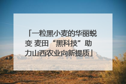 一粒黑小麦的华丽蜕变 麦田“黑科技”助力山西农业向新提质