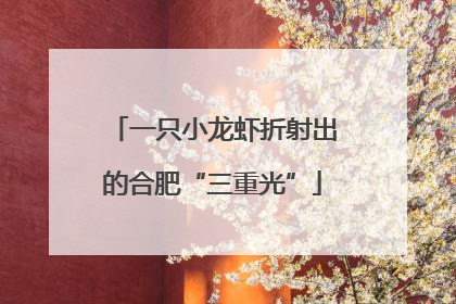 一只小龙虾折射出的合肥“三重光”