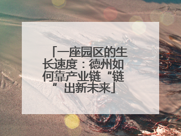 一座园区的生长速度：德州如何靠产业链“链”出新未来