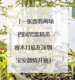 一张票看两场 四国男篮精英赛本月底在深圳宝安激情开赛