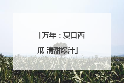 万年：夏日西瓜 清甜爆汁