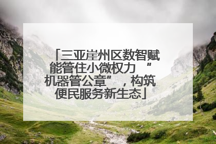 三亚崖州区数智赋能管住小微权力 “机器管公章”，构筑便民服务新生态