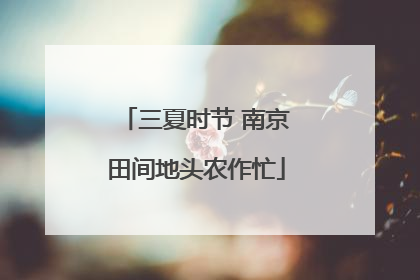 三夏时节 南京田间地头农作忙