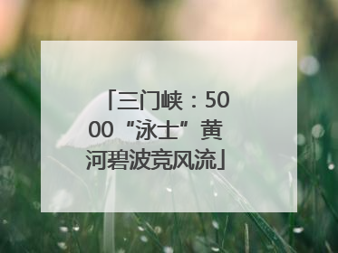 三门峡：5000“泳士”黄河碧波竞风流