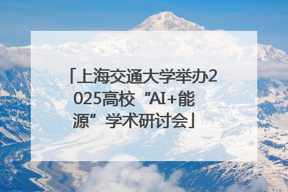 上海交通大学举办2025高校“AI+能源”学术研讨会