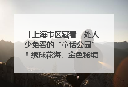 上海市区藏着一处人少免费的“童话公园”！绣球花海、金色秘境……地铁直达→