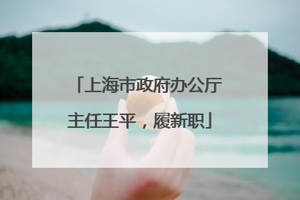 上海市政府办公厅主任王平，履新职