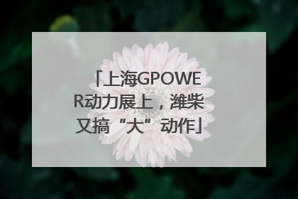 上海GPOWER动力展上，潍柴又搞“大”动作