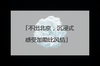 不出北京，沉浸式感受加勒比风情