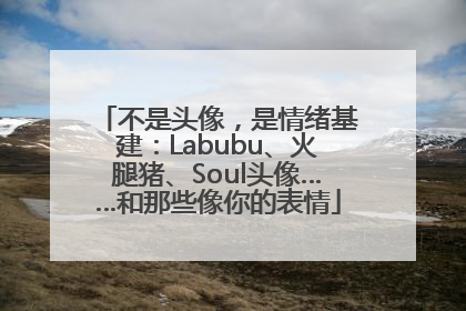 不是头像，是情绪基建：Labubu、火腿猪、Soul头像……和那些像你的表情