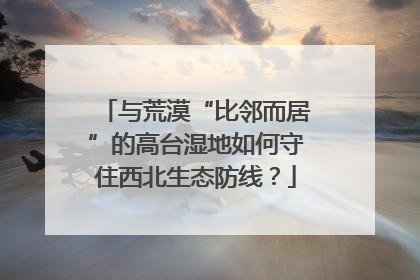 与荒漠“比邻而居”的高台湿地如何守住西北生态防线？