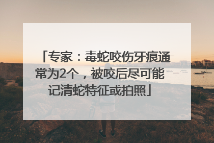 专家：毒蛇咬伤牙痕通常为2个，被咬后尽可能记清蛇特征或拍照