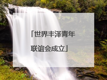 世界丰泽青年联谊会成立