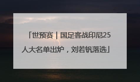 世预赛｜国足客战印尼25人大名单出炉，刘若钒落选