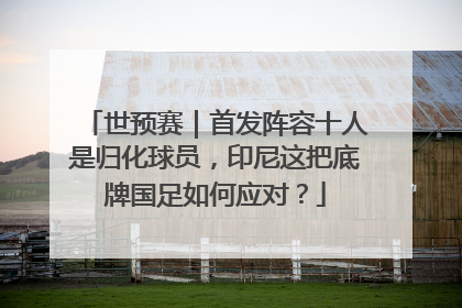 世预赛｜首发阵容十人是归化球员，印尼这把底牌国足如何应对？