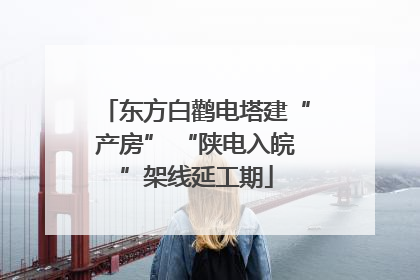 东方白鹳电塔建“产房” “陕电入皖”架线延工期