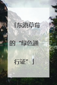 东港草莓的“绿色通行证”