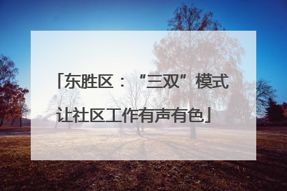 东胜区：“三双”模式让社区工作有声有色