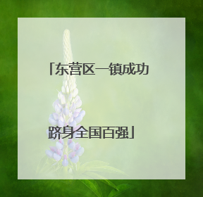 东营区一镇成功跻身全国百强
