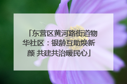 东营区黄河路街道物华社区：银龄互助焕新颜 共建共治暖民心
