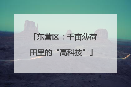 东营区：千亩薄荷田里的“高科技”