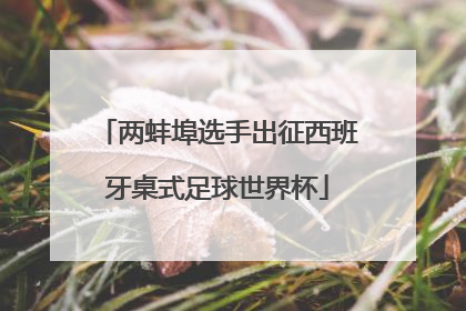 两蚌埠选手出征西班牙桌式足球世界杯