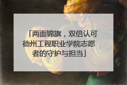 两面锦旗，双倍认可德州工程职业学院志愿者的守护与担当