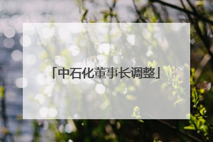 中石化董事长调整
