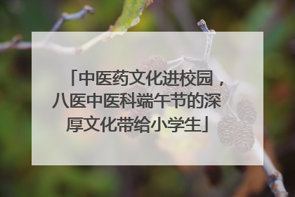 中医药文化进校园，八医中医科端午节的深厚文化带给小学生