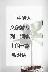 中哈人文旅游专列：钢轨上的丝路新对话