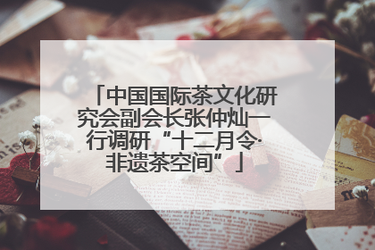 中国国际茶文化研究会副会长张仲灿一行调研“十二月令·非遗茶空间”