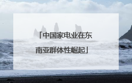 中国家电业在东南亚群体性崛起
