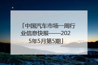 中国汽车市场一周行业信息快报——2025年5月第5期