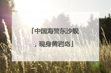 中国海警东沙舰，现身黄岩岛